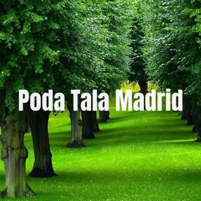 Jardinería Poda Tala Madrid